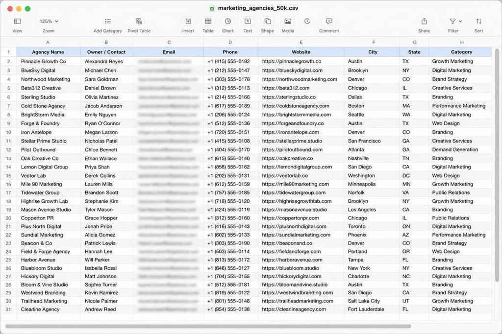 30 sample rows from the 50,000 marketing agency contact list, emails blurred